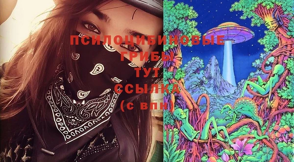 спиды Козловка