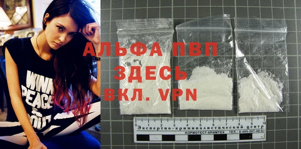 прущие грибы Кодинск