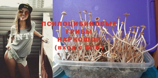 МДПВ Козельск