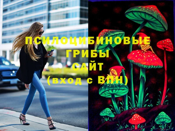 МДПВ Козельск