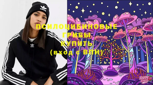 прущие грибы Кодинск
