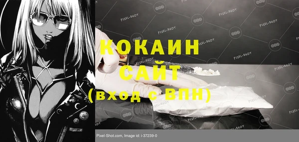 прущие грибы Кодинск