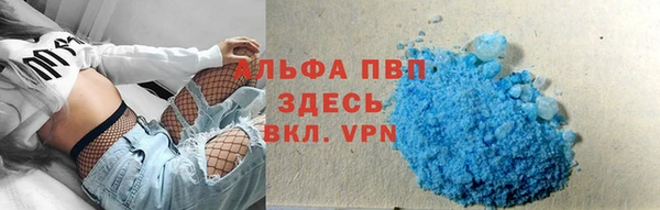 спиды Козловка